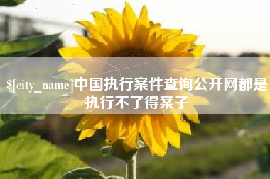 绥化中国执行案件查询公开网都是执行不了得案子