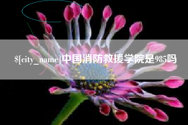 绥化中国消防救援学院是985吗