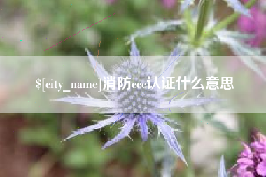 绥化消防ccc认证什么意思