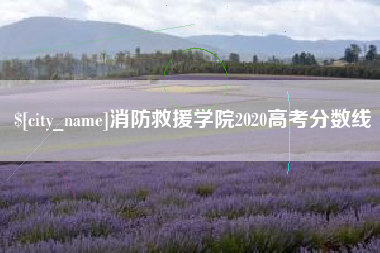绥化消防救援学院2020高考分数线
