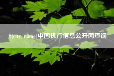 绥化中国执行信息公开网查询
