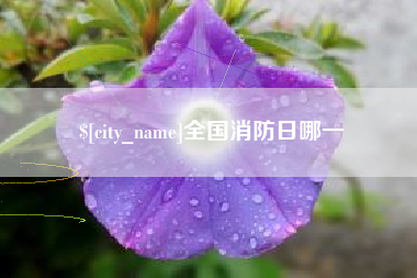 绥化全国消防日哪一