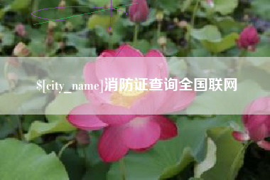 绥化消防证查询全国联网