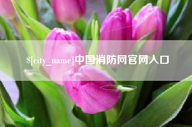 绥化中国消防网官网入口
