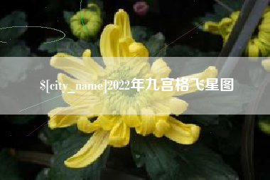 绥化2022年九宫格飞星图