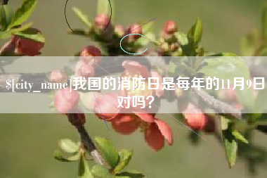 绥化我国的消防日是每年的11月9日对吗？