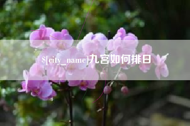 绥化九宫如何排日
