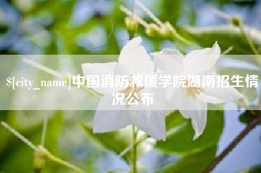 绥化中国消防救援学院湖南招生情况公布
