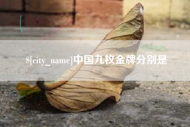 绥化中国九枚金牌分别是