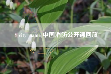 绥化中国消防公开课回放