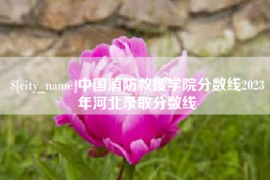 绥化中国消防救援学院分数线2023年河北录取分数线