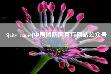 绥化中国消防网官方网站公众号