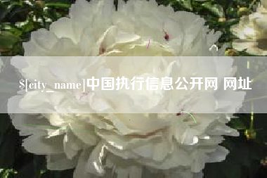 绥化中国执行信息公开网 网址