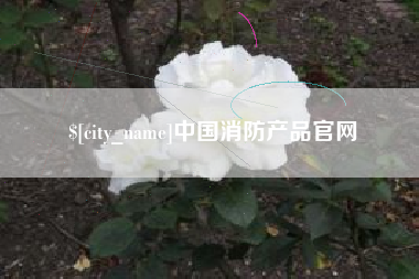 绥化中国消防产品官网