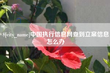 绥化中国执行信息网查到立案信息怎么办