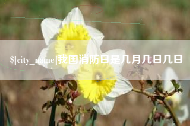绥化我国消防日是几月几日几日