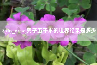 绥化男子五千米的世界纪录是多少