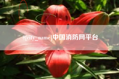 绥化中国消防网平台