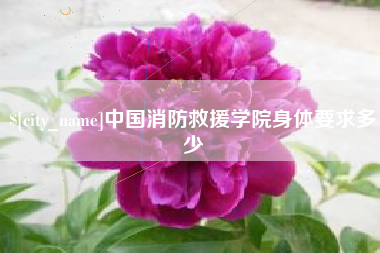 绥化中国消防救援学院身体要求多少