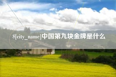 绥化中国第九块金牌是什么