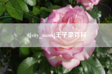绥化王子豪百科