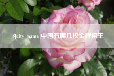 绥化中国有哪几枚金牌得主