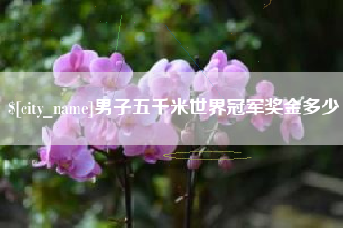 绥化男子五千米世界冠军奖金多少