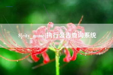 绥化执行公告查询系统