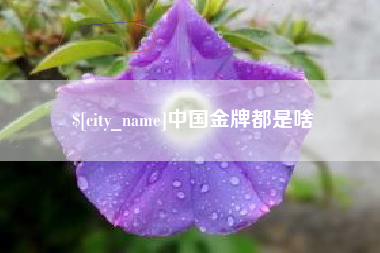 绥化中国金牌都是啥