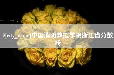 绥化中国消防救援学院浙江省分数线