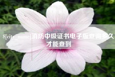 绥化消防中级证书电子版查询多久才能查到