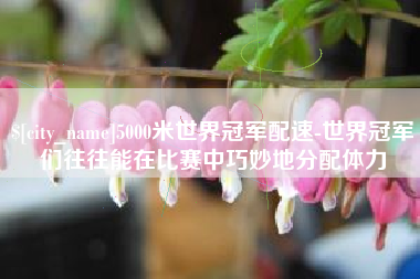 绥化5000米世界冠军配速-世界冠军们往往能在比赛中巧妙地分配体力