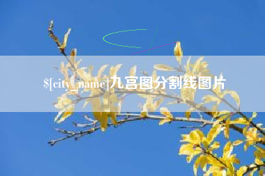 绥化九宫图分割线图片