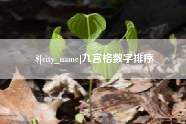 绥化九宫格数字排序