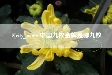 绥化中国九枚金牌是哪九枚