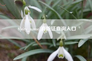 绥化消防证查询入口
