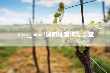 绥化消防证查询怎么查