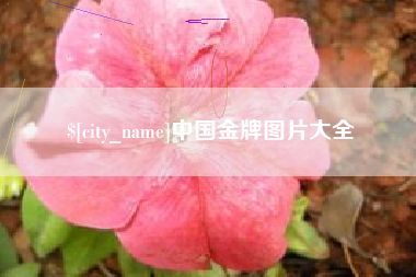 绥化中国金牌图片大全