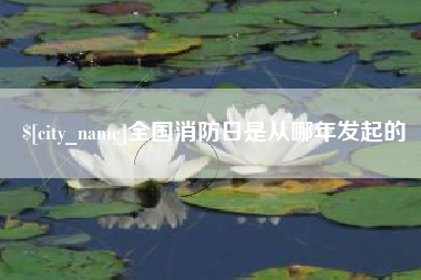 绥化全国消防日是从哪年发起的