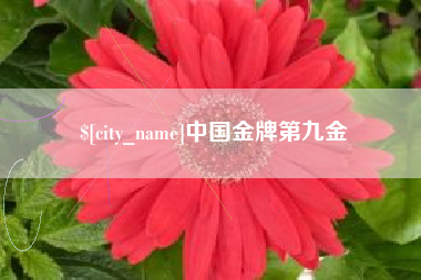 绥化中国金牌第九金