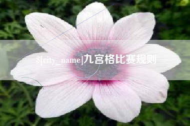 绥化九宫格比赛规则