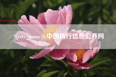 绥化1.中国执行信息公开网