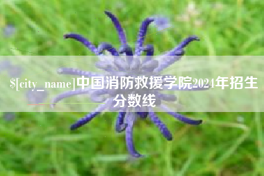 绥化中国消防救援学院2024年招生分数线