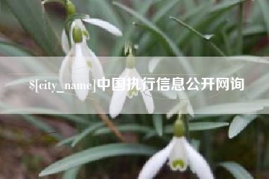 绥化中国执行信息公开网询