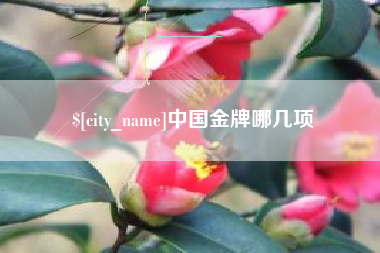 绥化中国金牌哪几项
