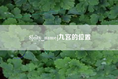 绥化九宫的位置