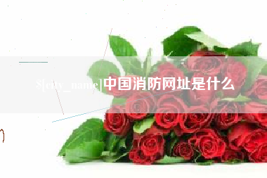 绥化中国消防网址是什么