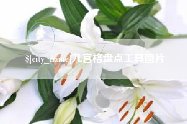 绥化九宫格盘点工具图片