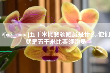 绥化五千米比赛领跑员是什么-他们就是五千米比赛领跑员