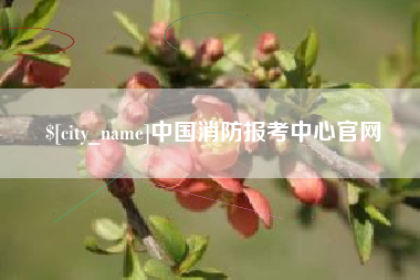 绥化中国消防报考中心官网
